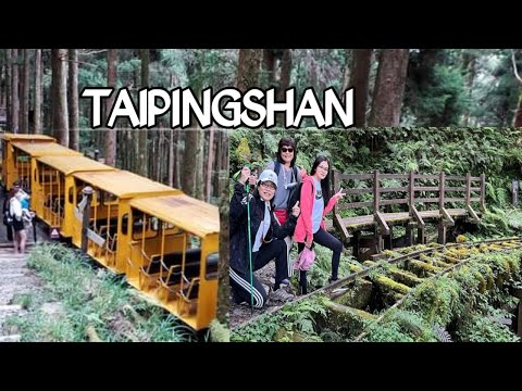 Floresta de Taipingshan | Recreação da Floresta Nacional de Taipingshan #taiwan