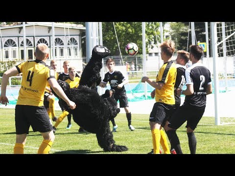 Premium liigas on kõik võimalik!