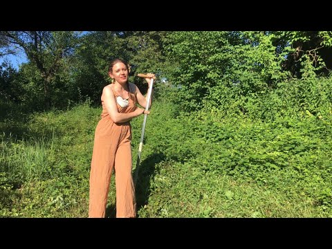 4th Week in June. Planting Mediterranean plants & clearing new ground.