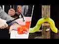 AMAZING TECHNOLOGIES THAT ARE ON A REALLY INSANE LEVEL AMAZING TECHNOLOGIES THAT ARE ON A REALLY INSANE LEVEL