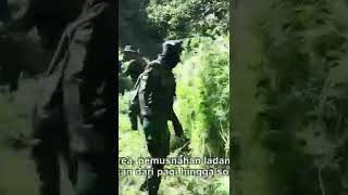 Download lagu ladang ganja yang takkan pernah punah part2 .#ganja#ladangganja#shorts mp3