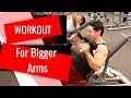 Full Biceps & Triceps Workout For Bigger Arms