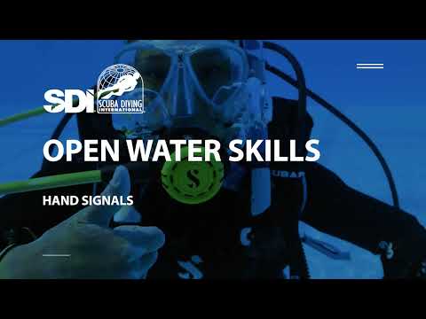 How To Do Common Scuba Diving Hand Signals - SDI Open Water Skills