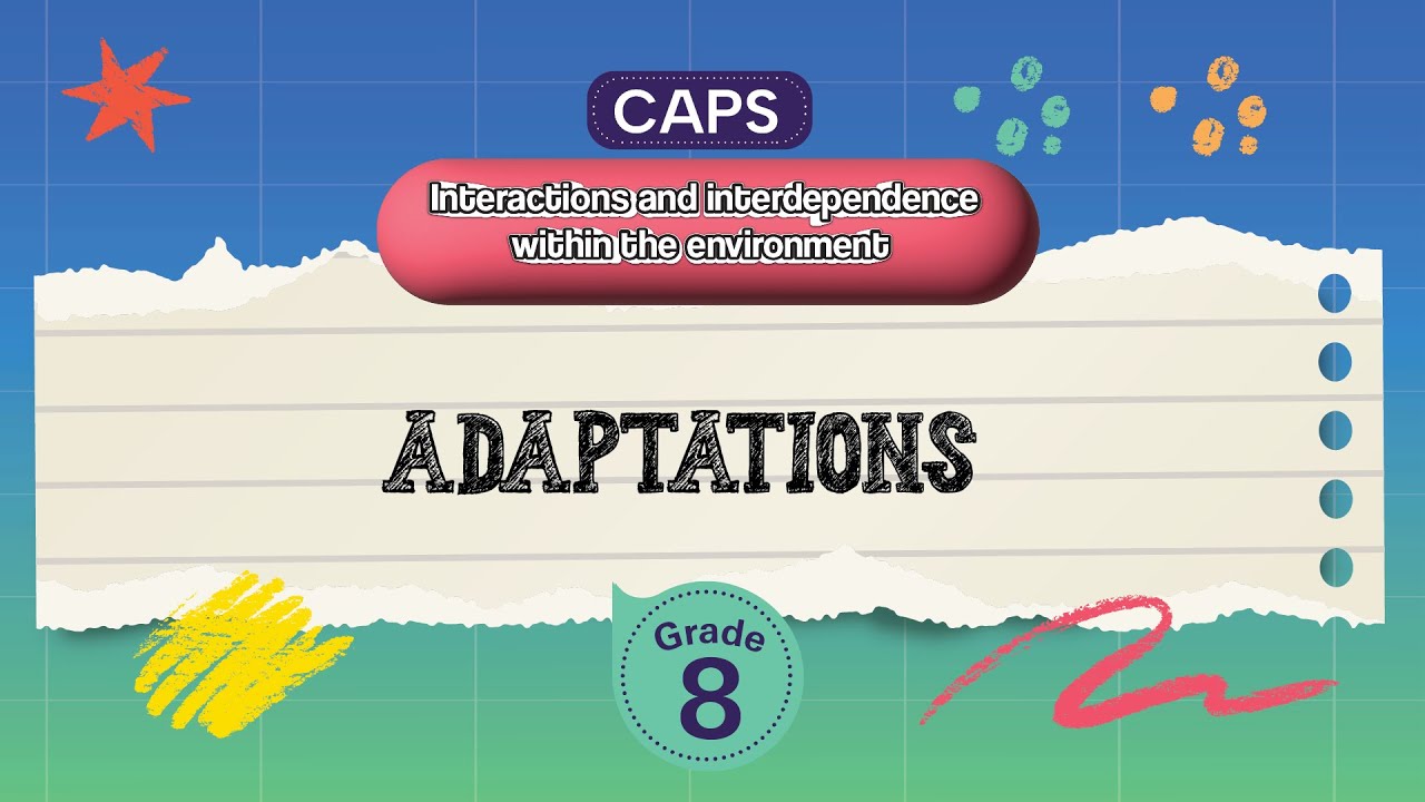 [GRADE 8] Adaptations