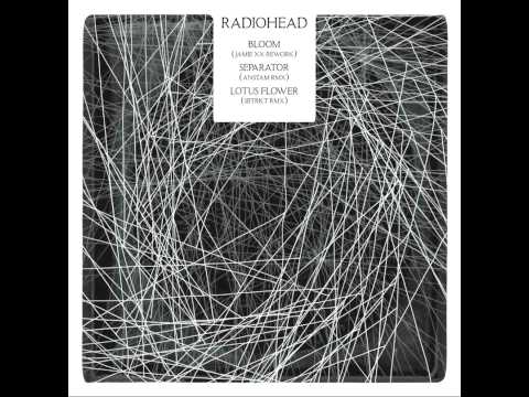 Video thumbnail for Bloom (Jamie xx Rework)