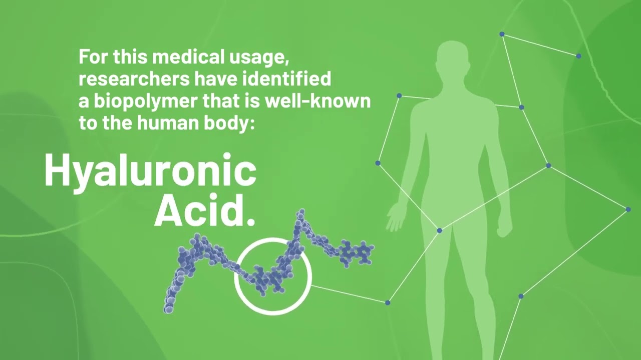 Biopolymers, powerful molecules for medical innovation