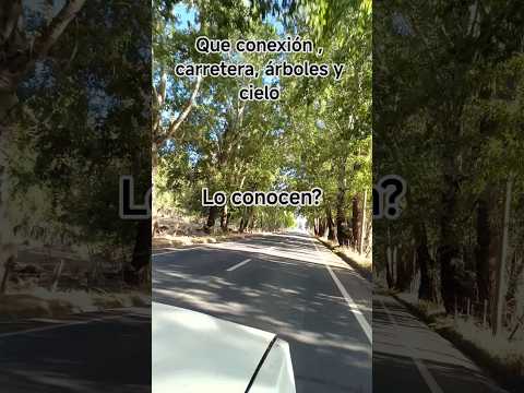 ¿Has pasado por aquí? El secreto de Huépil