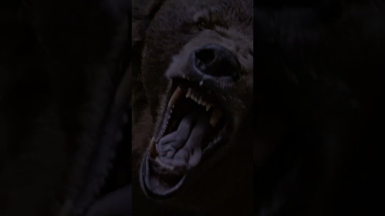 Welcome to the bottom of the food chain.