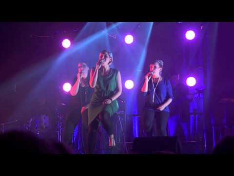 Angel from Montgomery (Cover) - The Ladybug