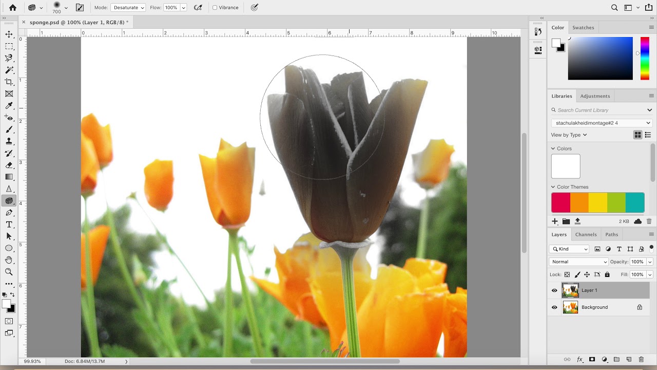 How To Use the Sponge Tool in Photoshop with Voiceovers