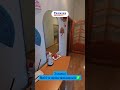 Видео превью