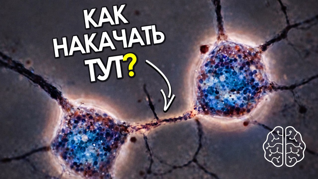 Главная ПРИЧИНА Твоих ИЗМЕНЕНИЙ | BDNF