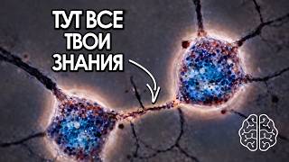 Что РЕАЛЬНО Меняет Тебя и Твой МОЗГ | BDNF