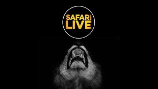 safariLIVE - Sunset Safari - April 4, 2018 safariLIVE - Sunset Safari - April 4, 2018