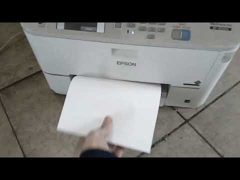 нужна промывка головки МФУ epson WF M5690