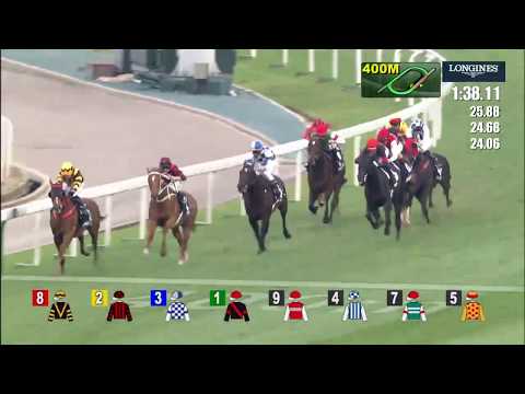 2023香港カップ | JRA-VAN World - 海外競馬情報サイト