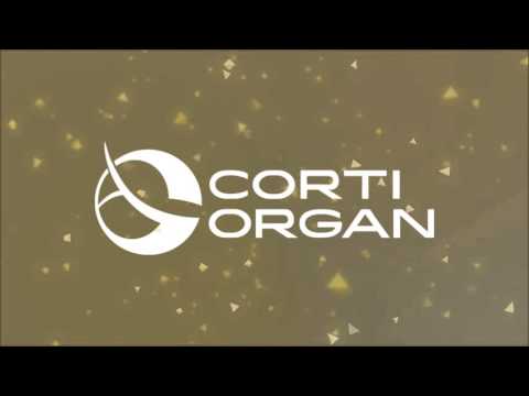 Lange vs Gareth Emery - Another You Another Me (Corti Organ Remix) Preview