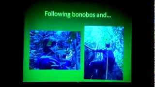 What's Love Got to Do with it? Sex for Social Bonding in Bonobos