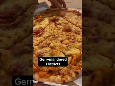 Gerrymandering Explained With Pizza! | LX News