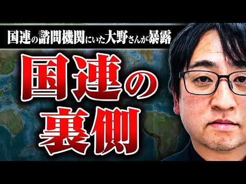 国連関係機関は何をしている？ 産業スパイのような活動はあるのか？ 危険や報酬は？ 国連の諮問機関にいた大野さんに聞いた