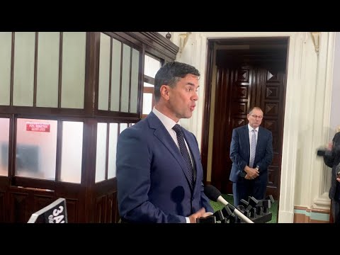 Thumbnail for Brad Battin criticised for going on cruise amid Victoria’s crime crisis