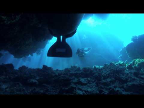 DIE BUCHT "The Cove" - DVD Trailer 11.03.10