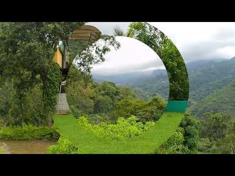 "SAN FRANCISCO: UN VIAJE POR LA NARURALEZA Y LA HISTORIA"   EXPLORANDO A COLOMBIA