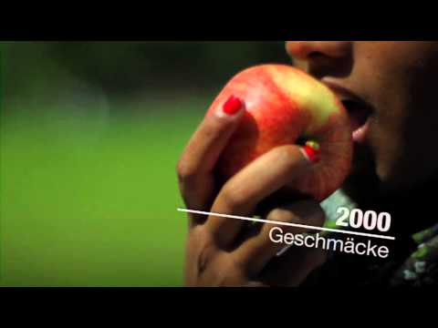 Sinne und Vorurteile - Film und Fotocamp!