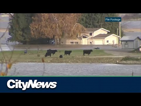 Antonio Guterres, UN Secretary-General on IPCC report