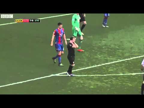 Crystal Palace - Stoke City 1-0 All Goals & Highlights FA CUP 30/1/2016