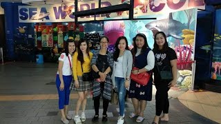 Download lagu Jalan - Jalan di Sea world Ancol || Mengenal Kehidupan Bawah Laut || Aquarium Raksasa mp3 Download lagu Jalan - Jalan di Sea world Ancol || Mengenal Kehidupan Bawah Laut || Aquarium Raksasa mp3