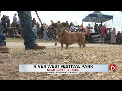 Tulsa's Oktoberfest Concludes With Annual Dachshund Dash