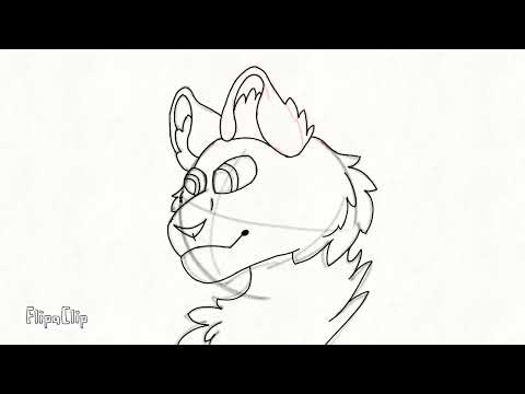 Cat ear flick animation test