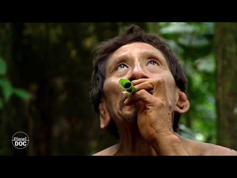 Huaorani: tribù amazzonica 4