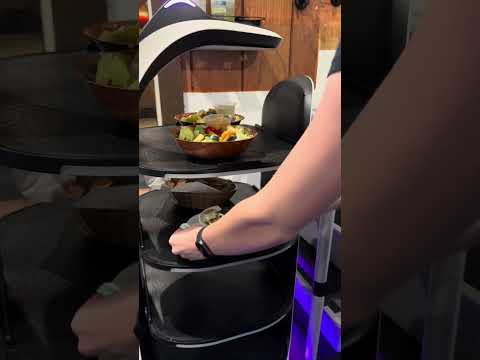 Meet BellaBot thumbnail