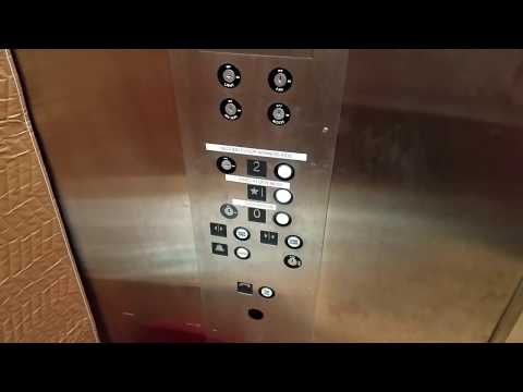 Pine State Hydraulic Elevator - Vineyard Vines Outlet, Freeport, ME