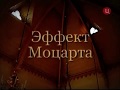 Эффект Моцарта. Михаил Казиник.