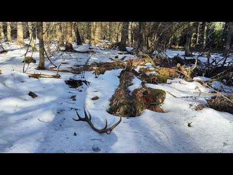 Zrzuty 2026,💪💪 jest Petarda 💪💪 piękna tyczunia 3kg