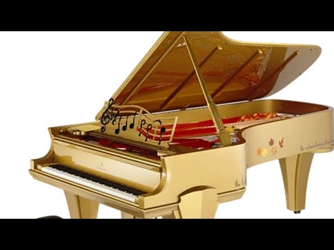 how i play the piano 🎹