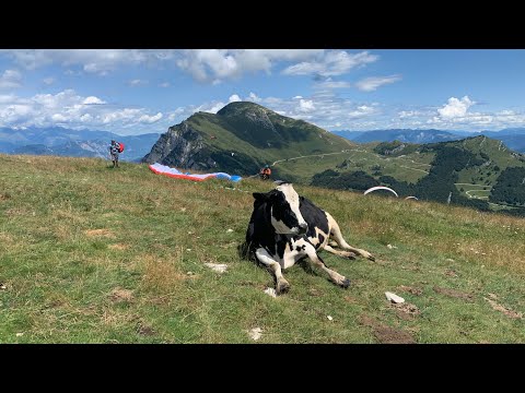 Paragliding with strong wind and poor landing at Lago di Garda