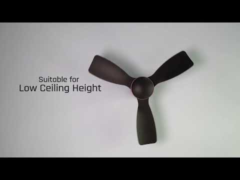 Deka Concept Mini 34”