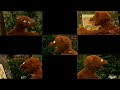 2000 Hero Guy Theme Song Comparison