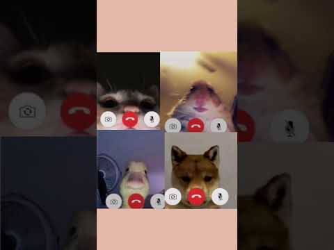 Bff Pfps
