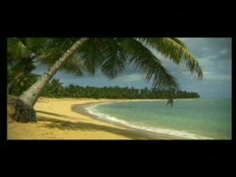 Senor Coconut - Showroom Dummies (Official Music Video)