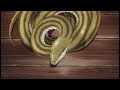 Cobra (slowed+reverb) - Megan Thee Stallion feat. Spiritbox