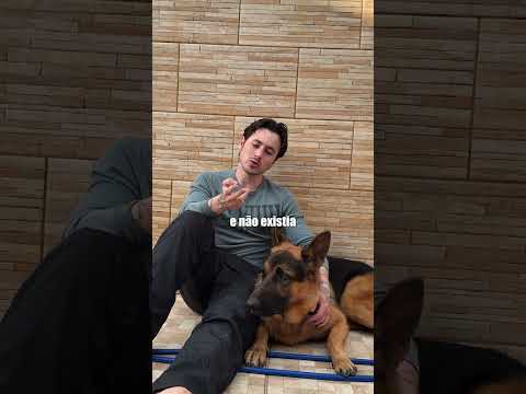 #cachorro #pastoralemao