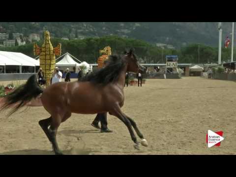 Menton 2016 - Class 8