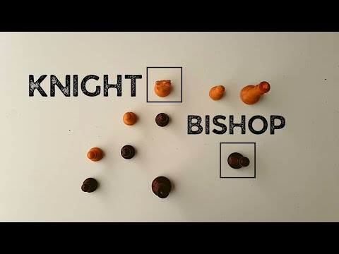 Bishop versus Knight, Reti - Rubinstein, Gothenburg (1920) · Endgame Strategy 1