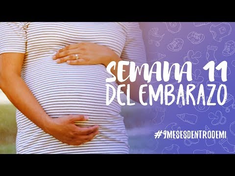 Week 11 of pregnancy / 9 months inside me