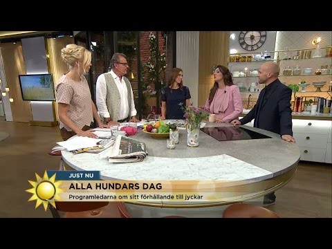 Programledarna om sina favorithundar - Nyhetsmorgon (TV4)